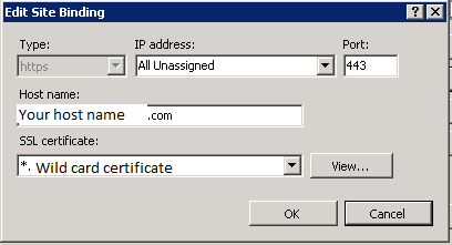 Hostname textbox is editbale in IIS